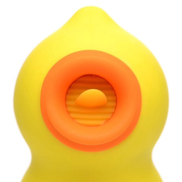 05e660117d891d886e9c1ab1f8dbab9e.webp