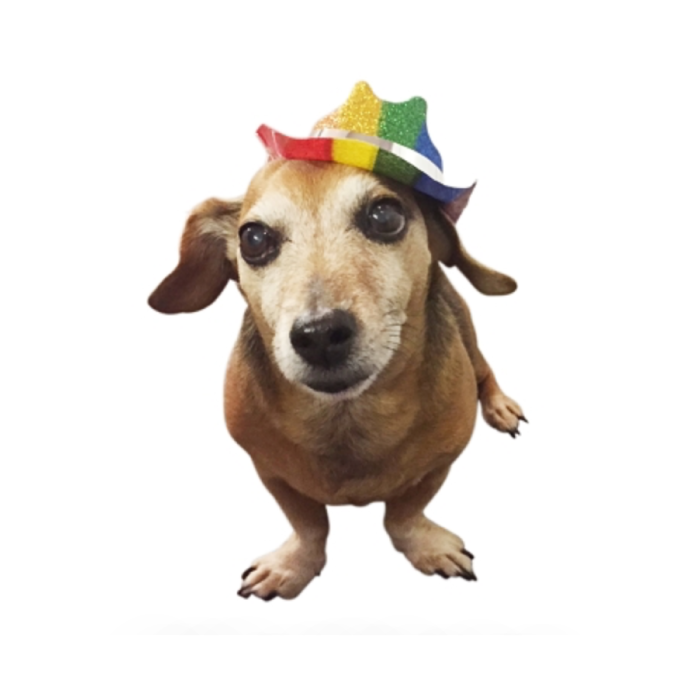 25f2851599430631e7ca71a8cb022720.png