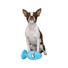 67ba1585f295cf8ff5f43d278acb7391.png