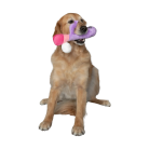 b56658aa7a0a57041740508d56939426.png